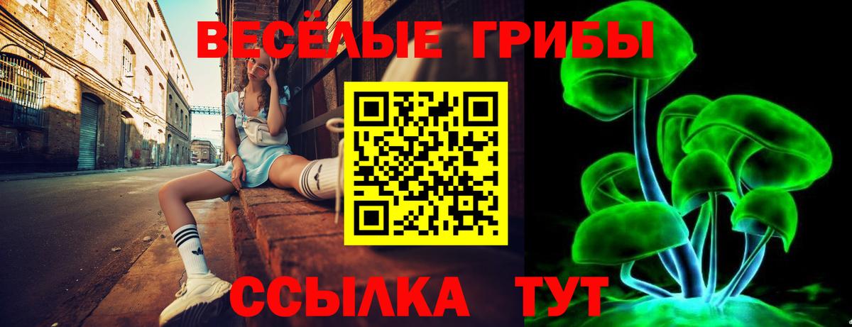 Псилоцибиновые грибы мицелий  хочу   Вольск  Вход с VPN 